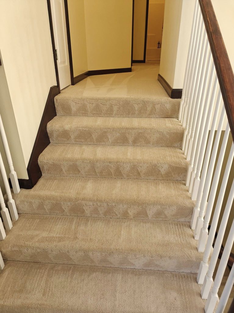 Carpet Cleaning in Gardner, KS