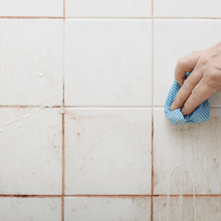 Tile Cleaning in Gardner, KS